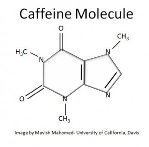 Case_Study-_Caffeine_Molecule